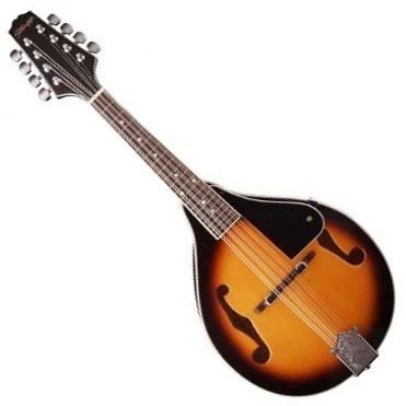 Stagg mandolin